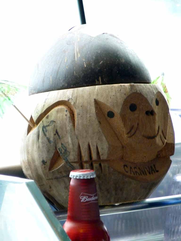 374: Carnival Sensation - Nassau - Coconut Monkey Head