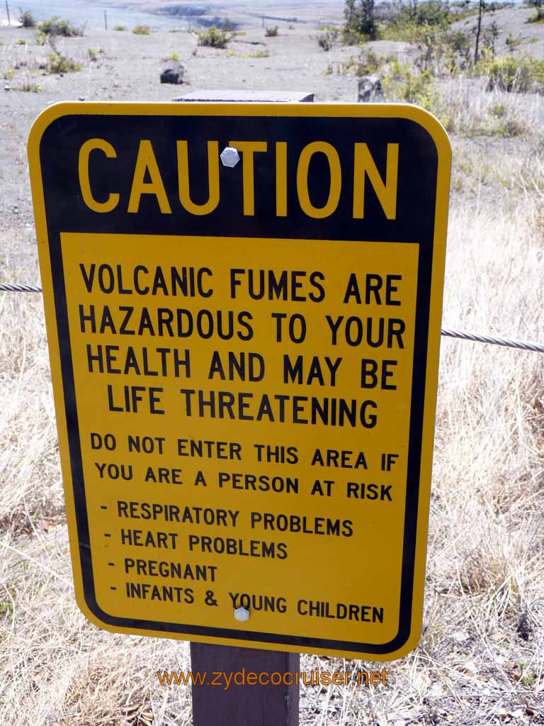 141: Carnival Spirit, Hilo, Hawaii, Hawaii (Hawai'i) Volcanoes National Park, Volcanic Fumes are Hazardous to Your Health