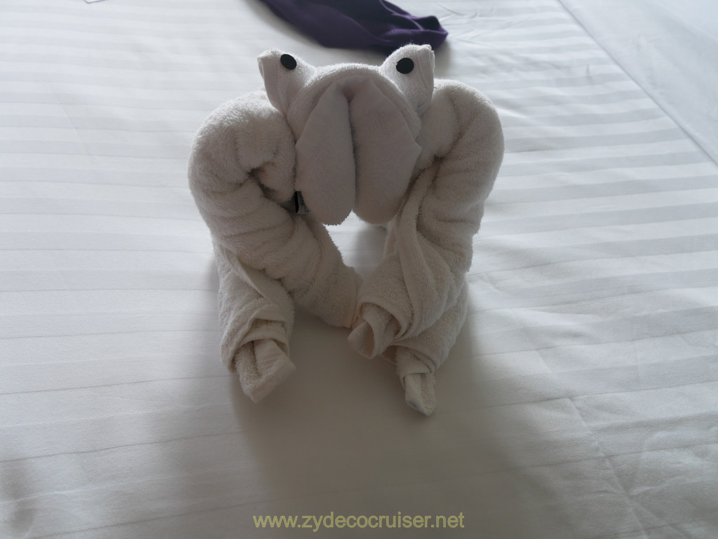 033: Carnival Venezia Transatlantic Cruise, Towel Animal