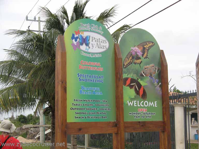 206: Carnival Conquest, Cozumel, Patas y Alas, Beach Club and Butterfly Sanctuary, PalMar Estate