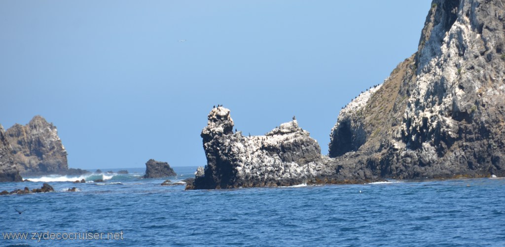 086: Island Packers, Island Wildlife Cruise, Anacapa Island, 