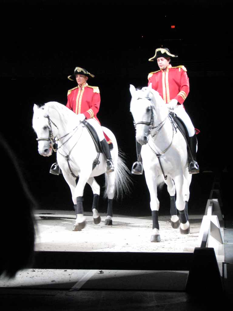 012: Lipizzaner Stallions, Mar 15, 2009