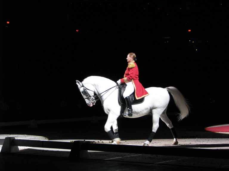 018: Lipizzaner Stallions, Mar 15, 2009