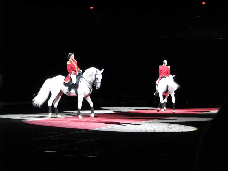021: Lipizzaner Stallions, Mar 15, 2009
