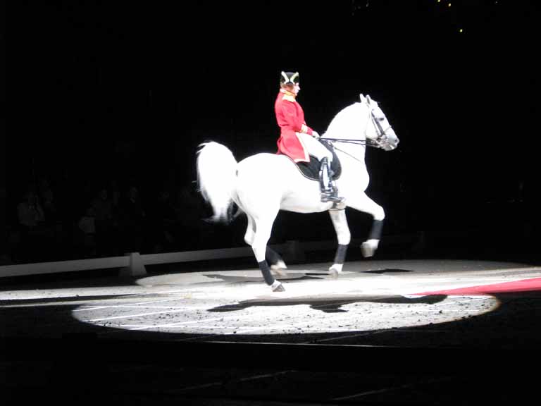 031: Lipizzaner Stallions, Mar 15, 2009