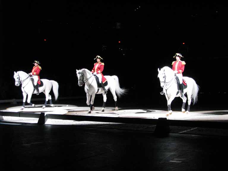 037: Lipizzaner Stallions, Mar 15, 2009