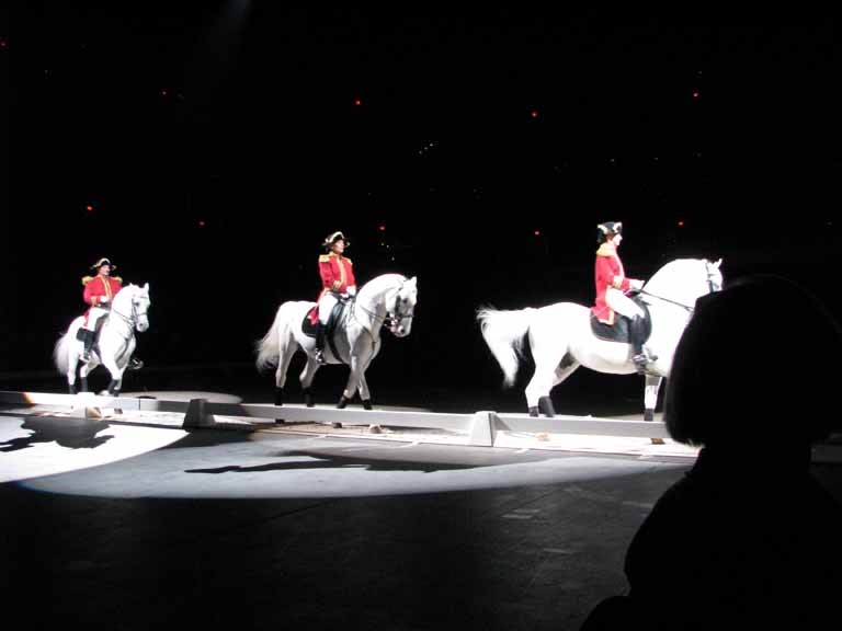 038: Lipizzaner Stallions, Mar 15, 2009