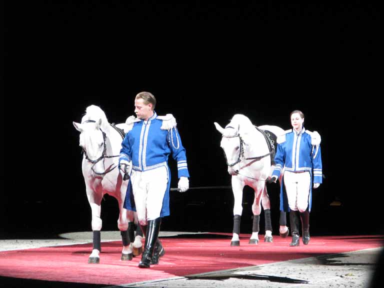 039: Lipizzaner Stallions, Mar 15, 2009