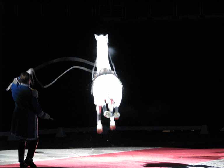053: Lipizzaner Stallions, Mar 15, 2009