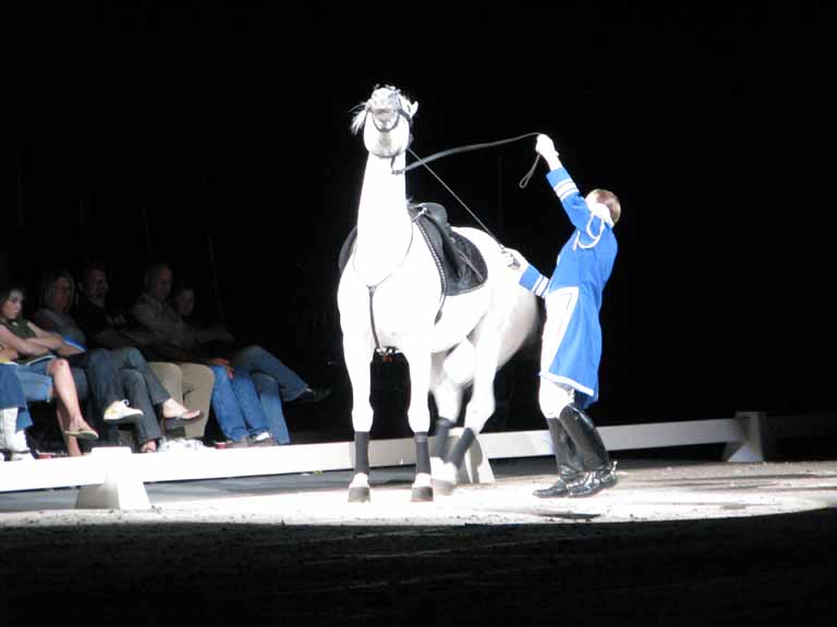 054: Lipizzaner Stallions, Mar 15, 2009