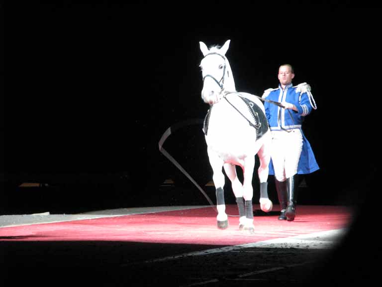 057: Lipizzaner Stallions, Mar 15, 2009