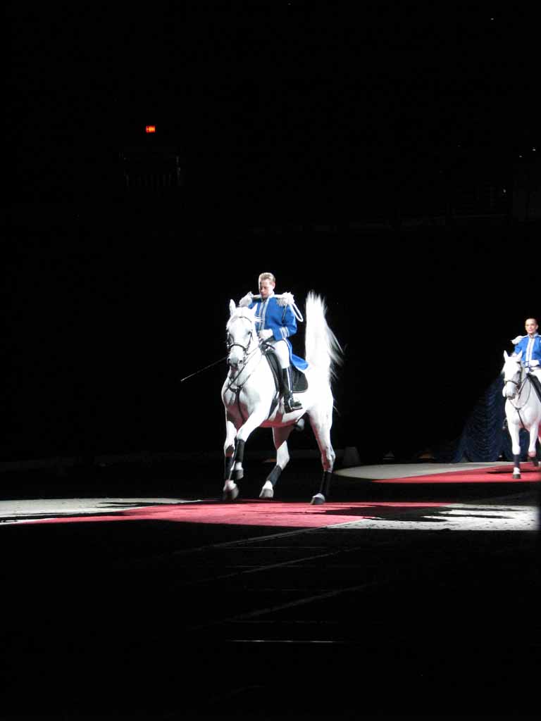 060: Lipizzaner Stallions, Mar 15, 2009