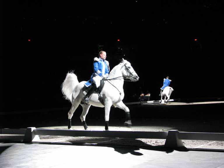 061: Lipizzaner Stallions, Mar 15, 2009