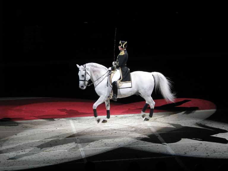 078: Lipizzaner Stallions, Mar 15, 2009