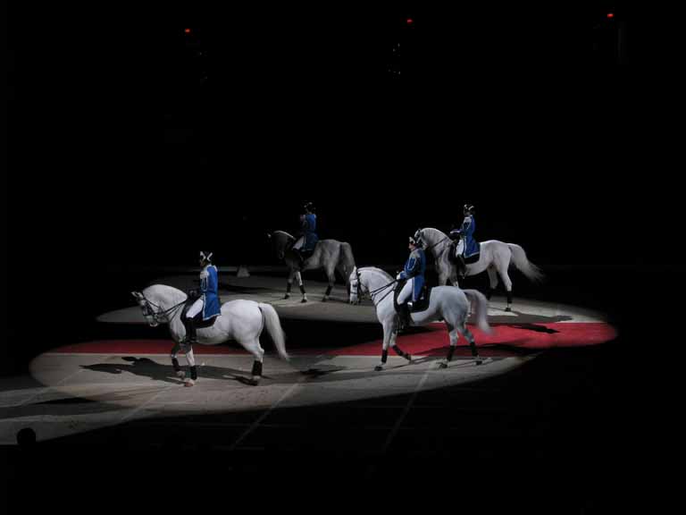 087: Lipizzaner Stallions, Mar 15, 2009