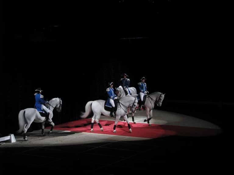 088: Lipizzaner Stallions, Mar 15, 2009