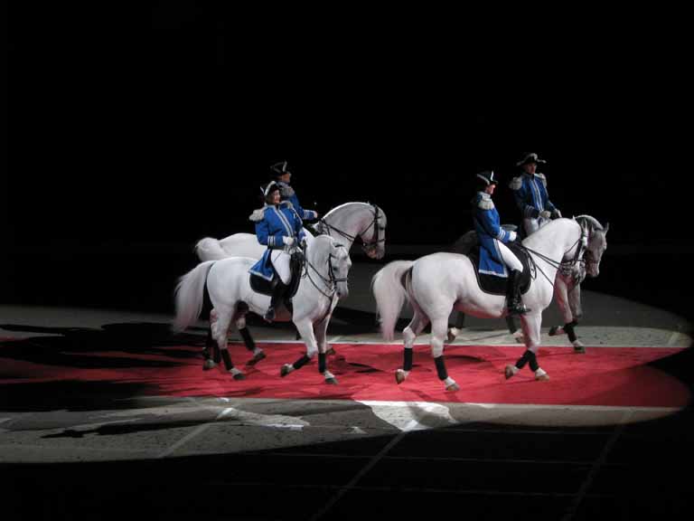 089: Lipizzaner Stallions, Mar 15, 2009
