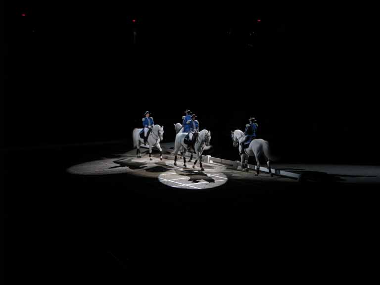 094: Lipizzaner Stallions, Mar 15, 2009