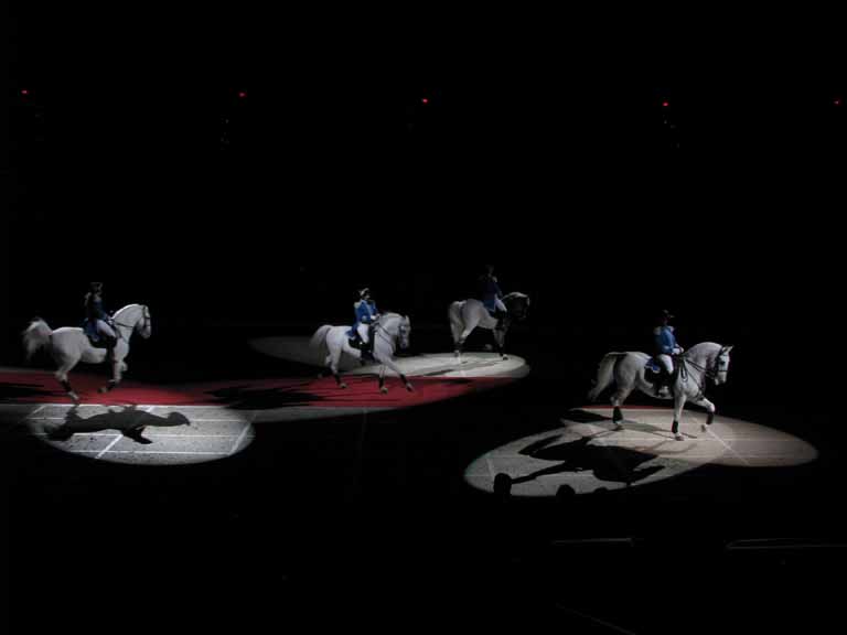 102: Lipizzaner Stallions, Mar 15, 2009