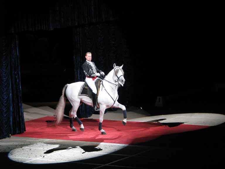 113: Lipizzaner Stallions, Mar 15, 2009
