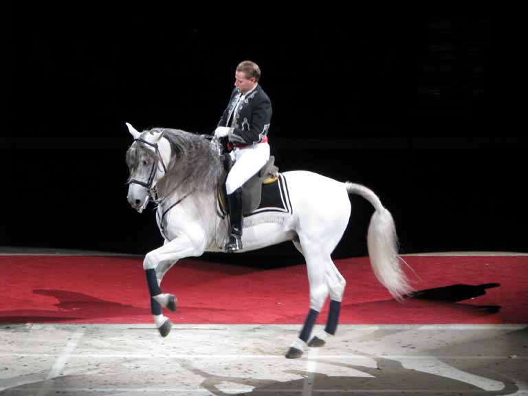 129: Lipizzaner Stallions, Mar 15, 2009