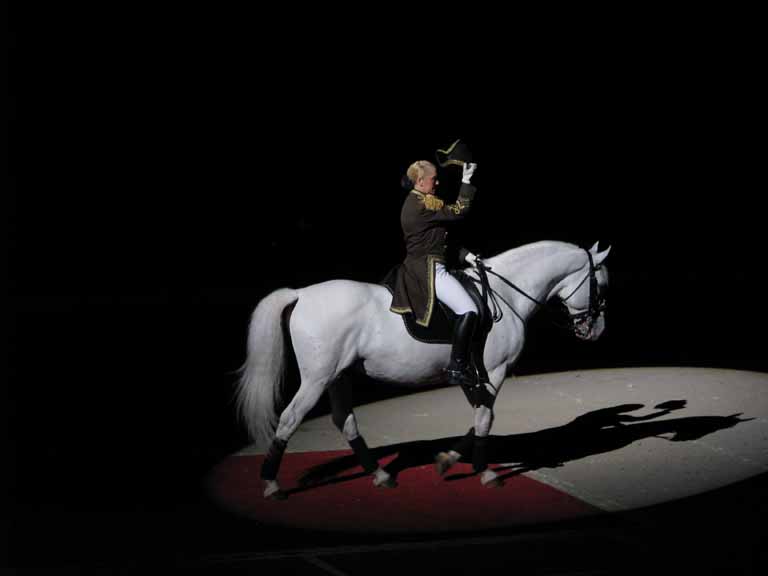 143: Lipizzaner Stallions, Mar 15, 2009