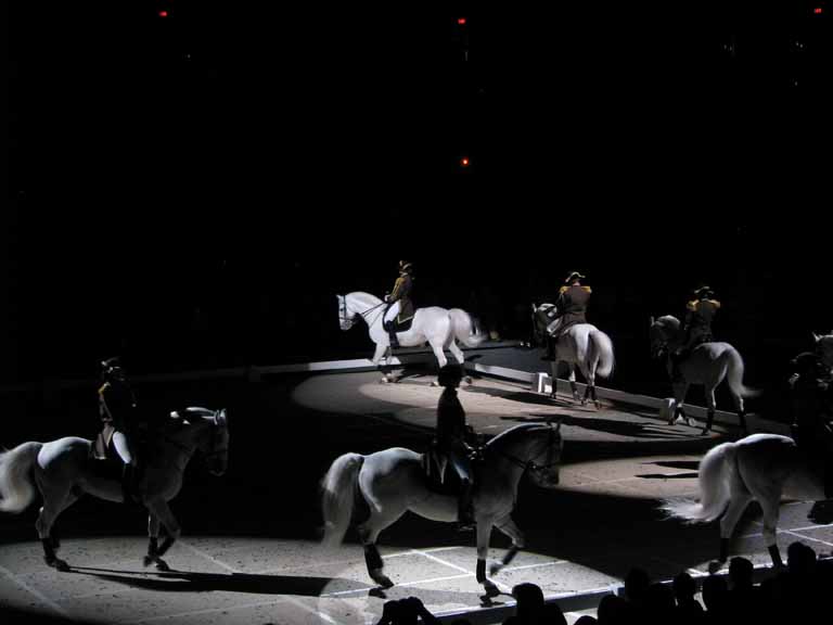 148: Lipizzaner Stallions, Mar 15, 2009