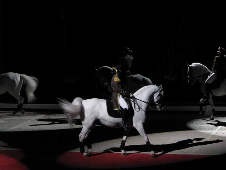 150: Lipizzaner Stallions, Mar 15, 2009