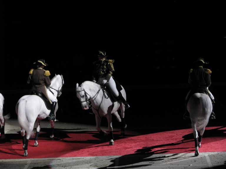 154: Lipizzaner Stallions, Mar 15, 2009