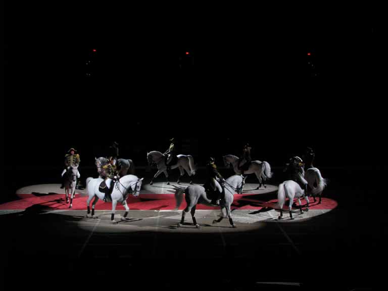 168: Lipizzaner Stallions, Mar 15, 2009