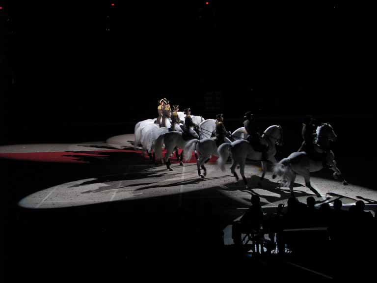 180: Lipizzaner Stallions, Mar 15, 2009