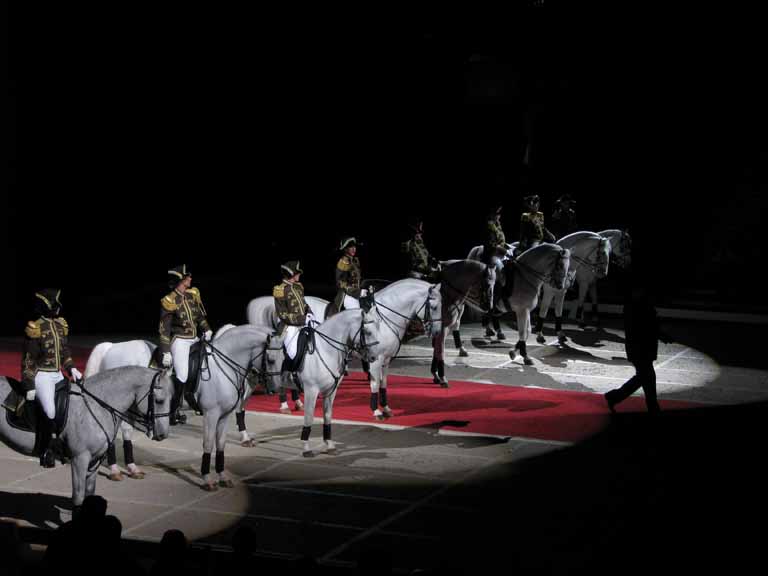 185: Lipizzaner Stallions, Mar 15, 2009