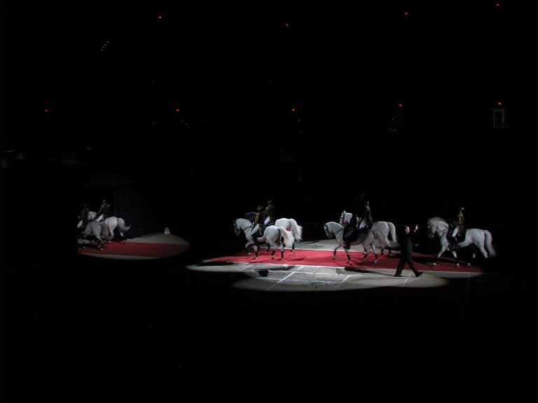 190: Lipizzaner Stallions, Mar 15, 2009