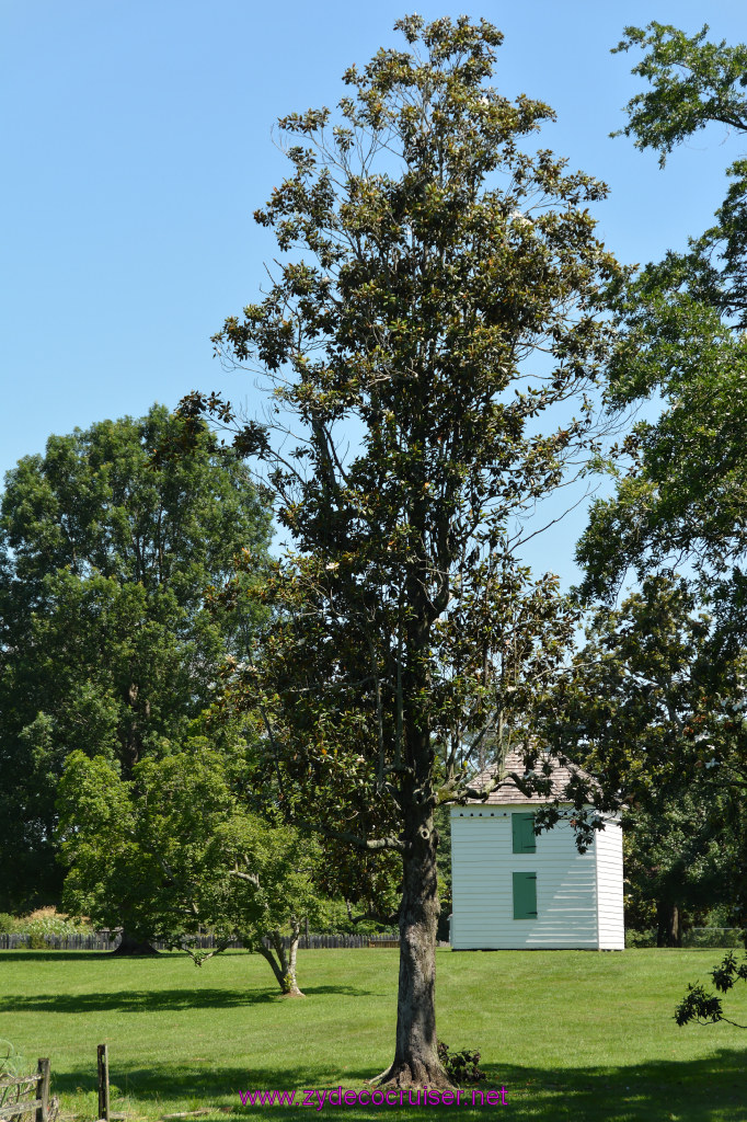 079: Magnolia Mound Plantation, Baton Rouge, LA