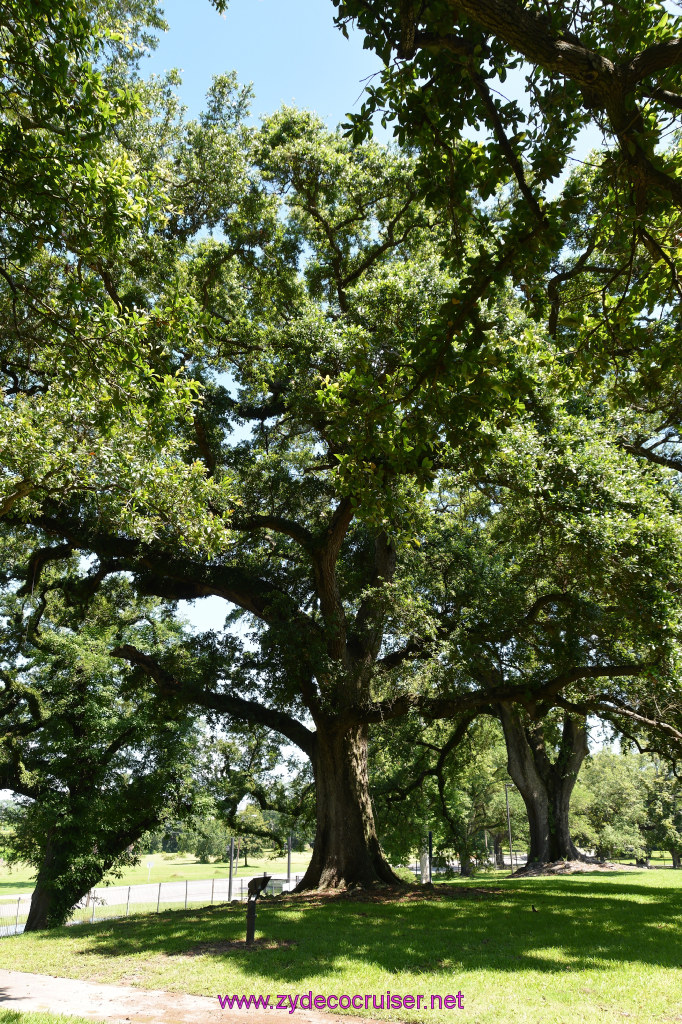 091: Magnolia Mound Plantation, Baton Rouge, LA