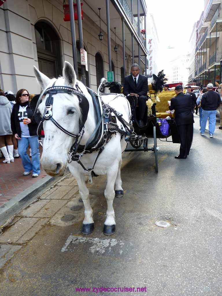 119: They must be lining up for Shangri-La parade in the French Quarter