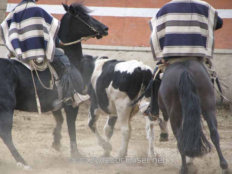 200: Carnival Splendor, 2009, Valparaiso-Santiago transfer, Wine, Horses, and Santiago tour, 