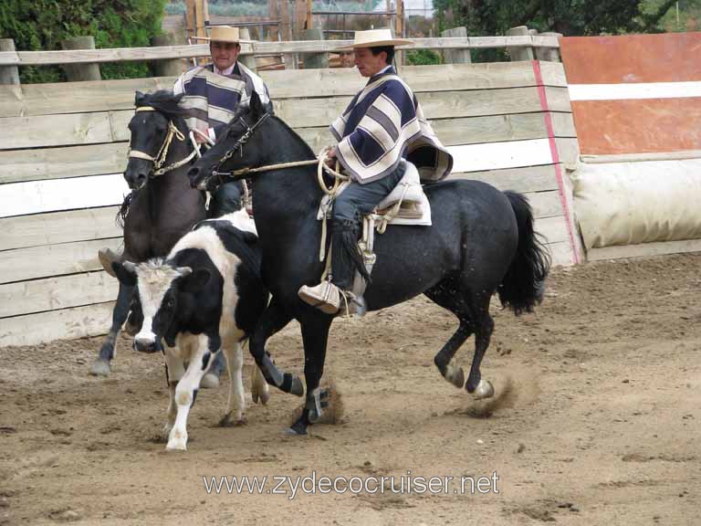 205: Carnival Splendor, 2009, Valparaiso-Santiago transfer, Wine, Horses, and Santiago tour, 