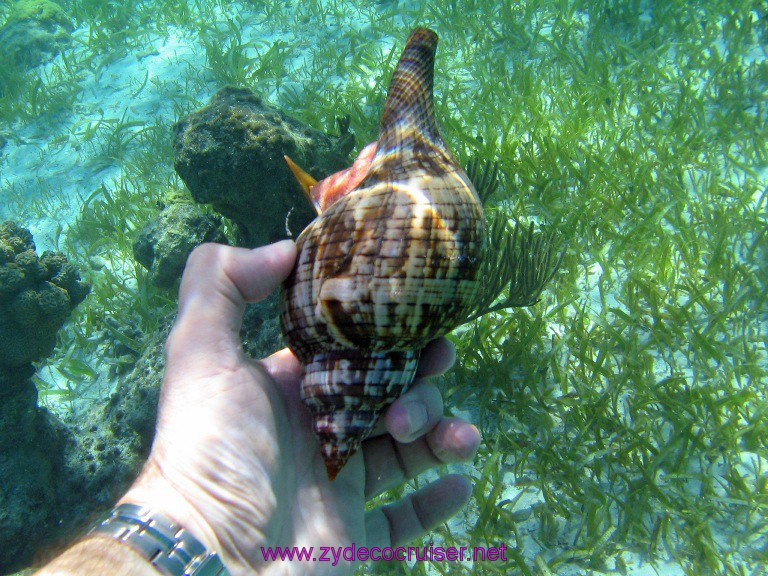 Costa Maya $15 snorkel trip