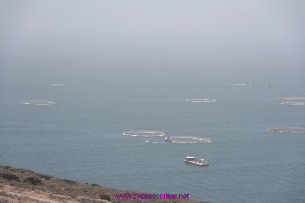 029: Carnival Imagination, Ensenada, La Bufadora Tour, Bluefin Tuna Farms, 