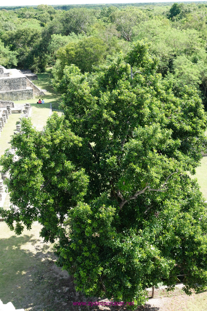 147: Carnival Valor Cruise, Progreso, The Ruins of Mayapan, 