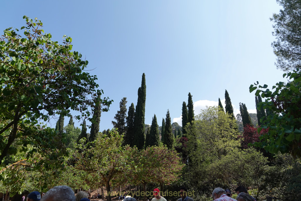 Carnival Venezia Transatlantic Cruise, Malaga, Granada, Alhambra