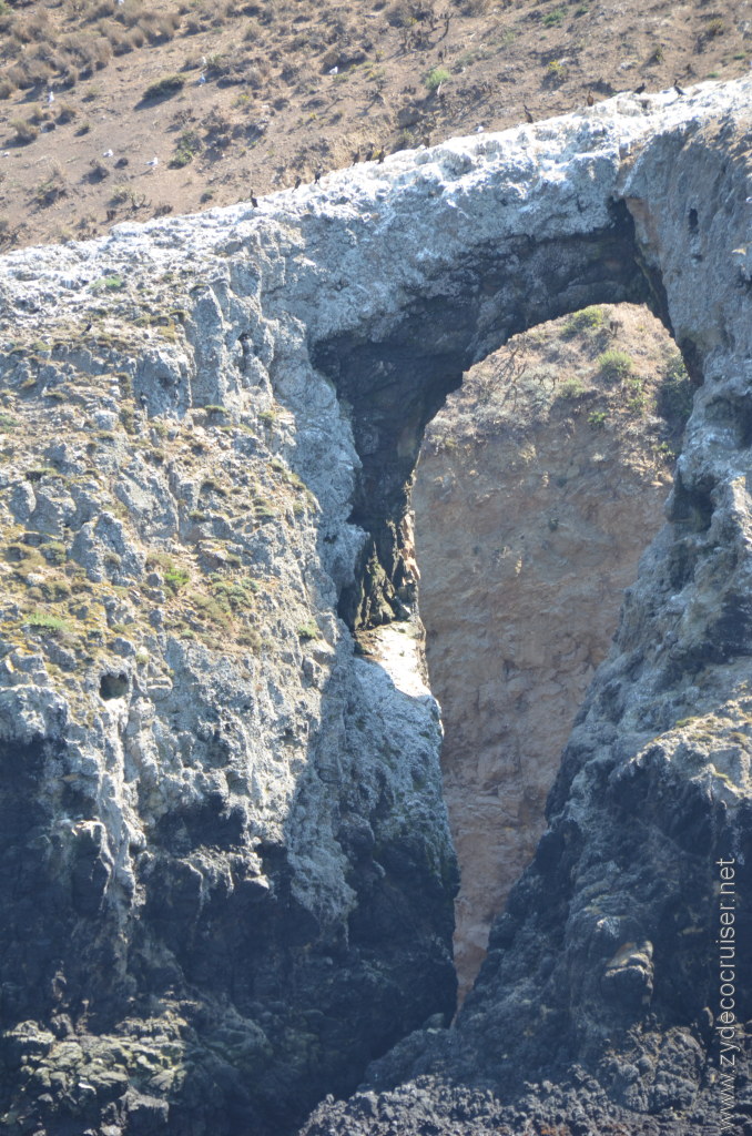 073: Island Packers, Island Wildlife Cruise, Anacapa Island, 