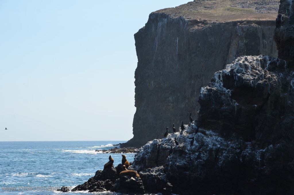 151: Island Packers, Island Wildlife Cruise, Anacapa Island, 