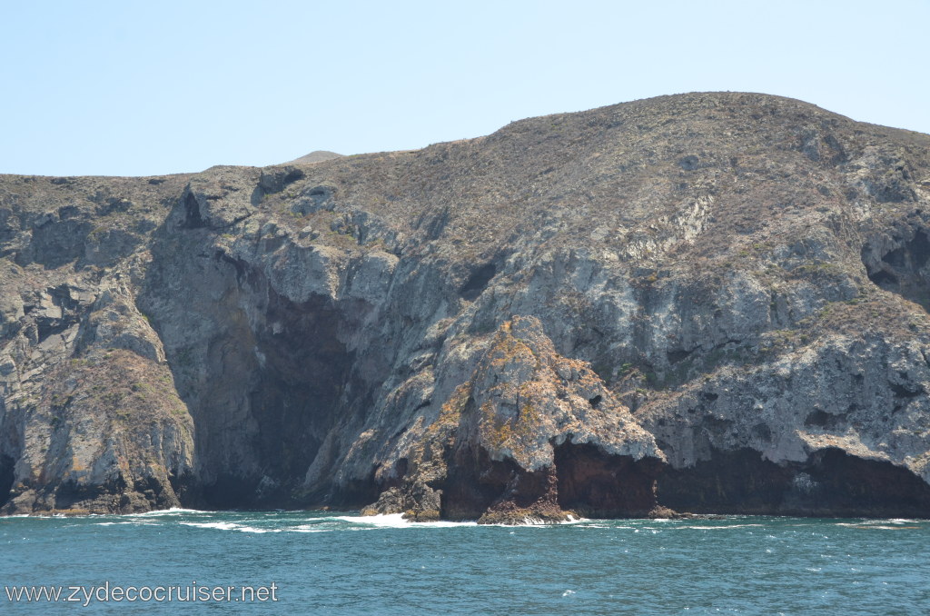 275: Island Packers, Ventura, CA, Whale Watching, 