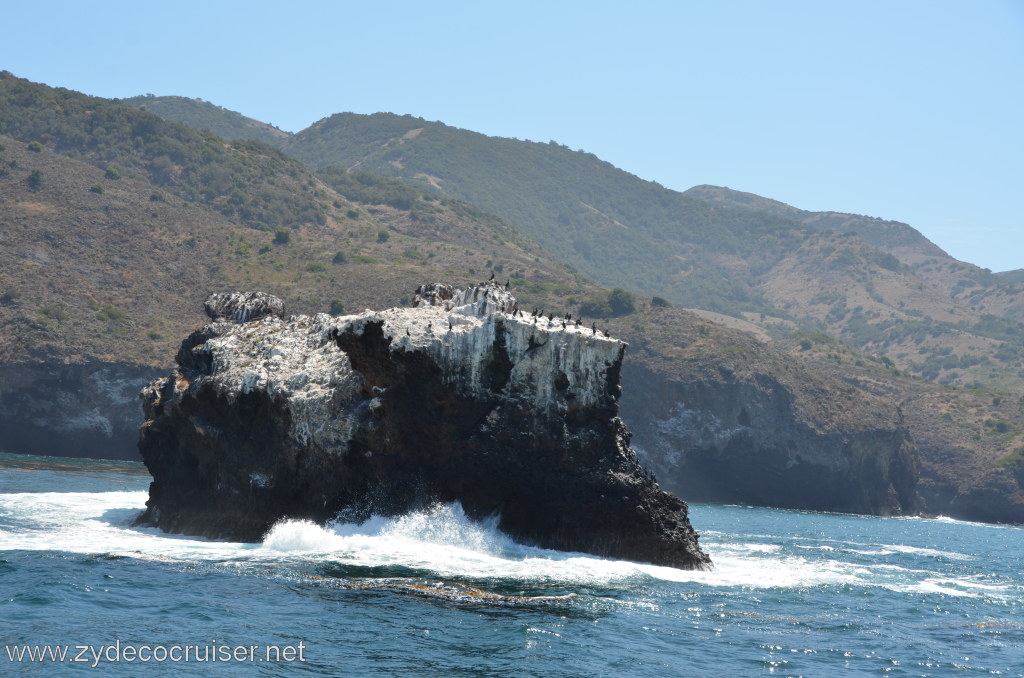 301: Island Packers, Ventura, CA, Whale Watching, 